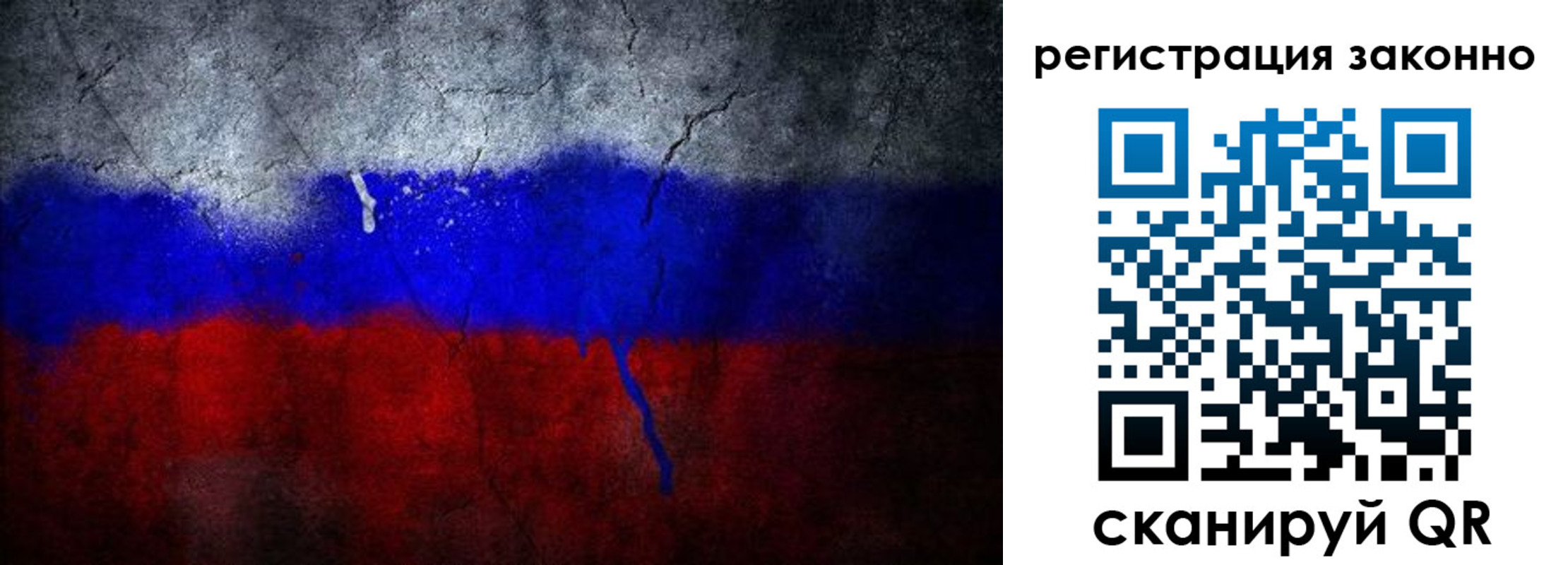 прописка гарантия в Брянске